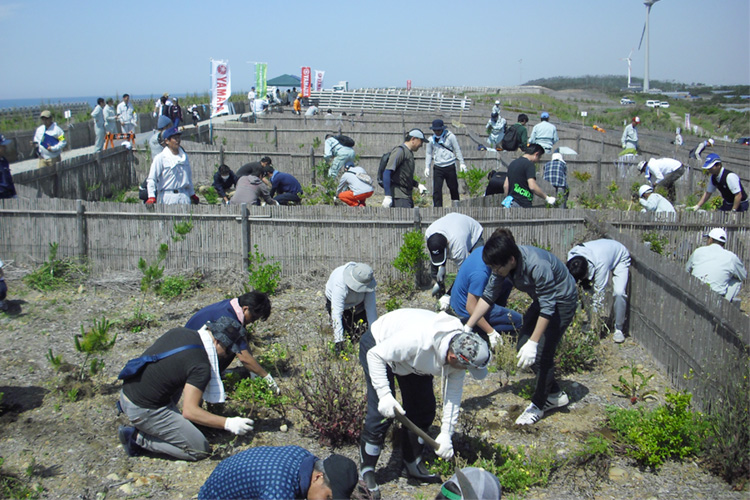 掛川市沿岸部防潮堤植樹活動「ヤマハの森in掛川」